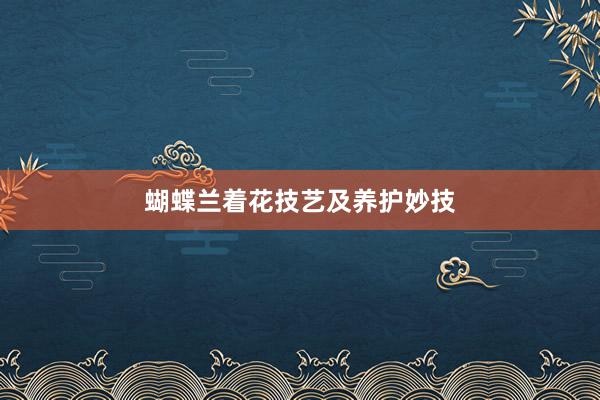 蝴蝶兰着花技艺及养护妙技