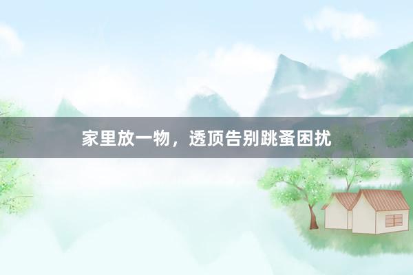 家里放一物，透顶告别跳蚤困扰